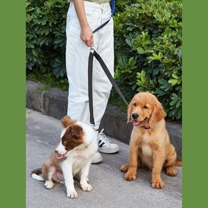 Double-headed Pet Leash
